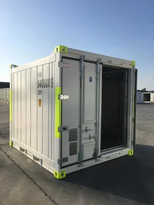 10ft Reefer - DNV Container