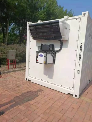 20ft koelcontainer Citimax